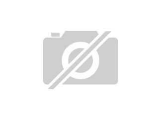 Sehr zahmes Bartagamenweibchen zu verkaufen